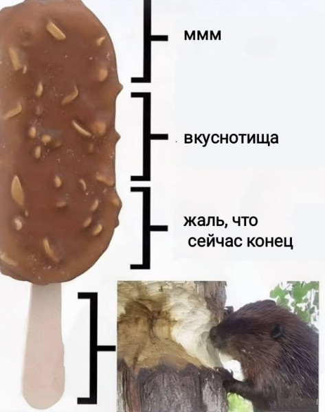 Мем, Рысь