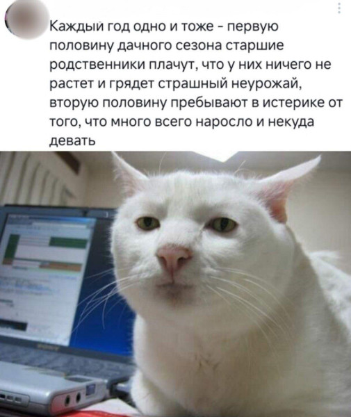Мем: Про кабачки и не только, Антиклептократ Мем: Про кабачки и не только, Антиклептократ