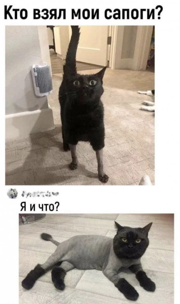 Мем Мем