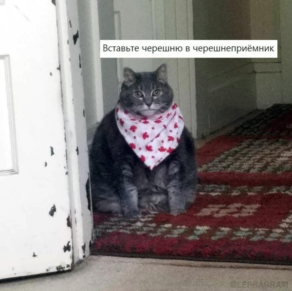 Мем, Антиклептократ Мем, Антиклептократ