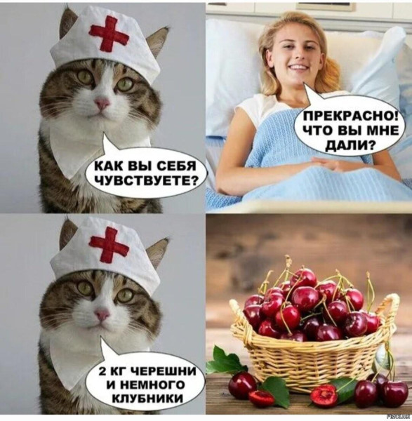 Мем, Антиклептократ Мем, Антиклептократ