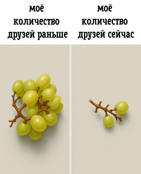 Мем, Антиклептократ Мем, Антиклептократ