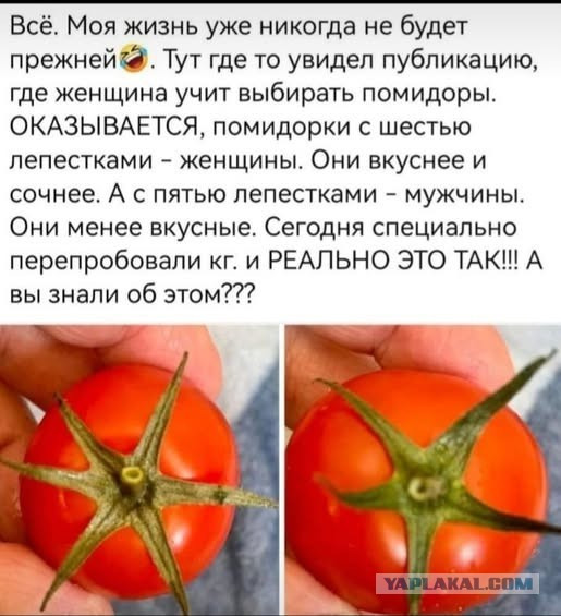 Мем Мем