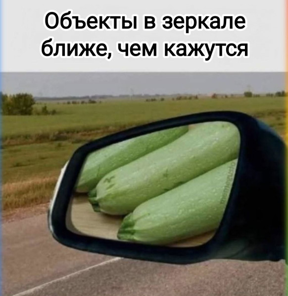 Мем, Рысь Мем, Рысь