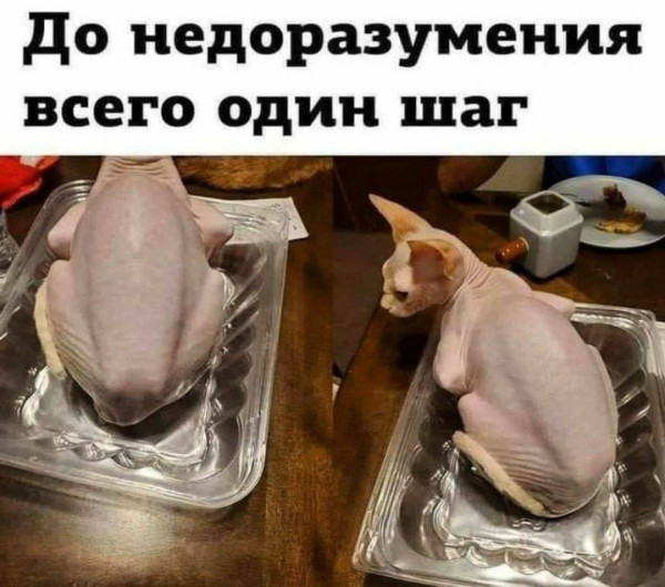 Мем, Hendry Мем, Hendry