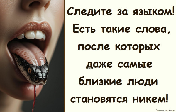 Мем, Александр САН