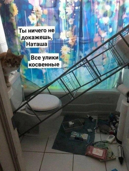 Мем, Антиклептократ Мем, Антиклептократ