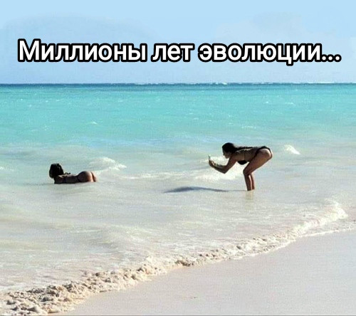 Мем, Рысь Мем, Рысь