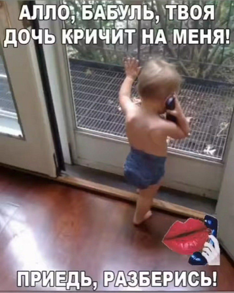 Мем, Антиклептократ Мем, Антиклептократ