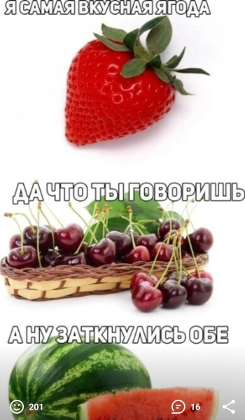 Мем, Антиклептократ Мем, Антиклептократ