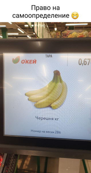 Мем, Антиклептократ Мем, Антиклептократ