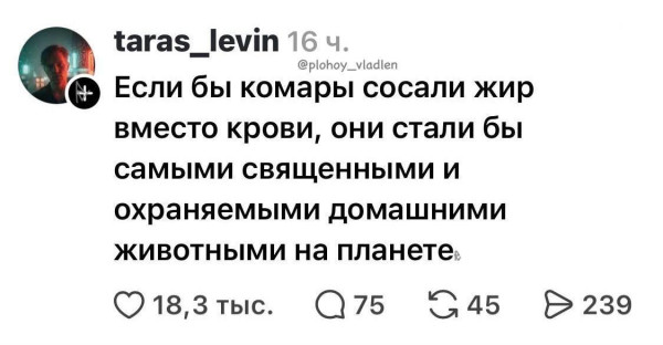 Мем, Mghost Мем, Mghost