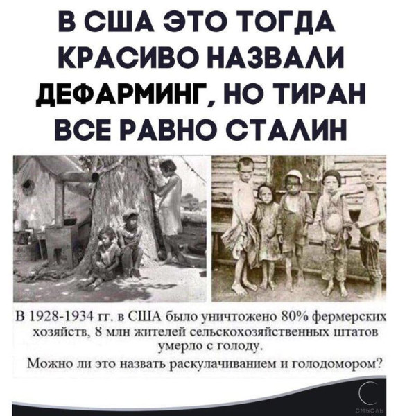 Мем, FDio