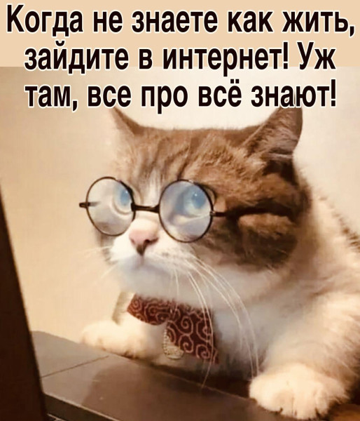 Мем, Антиклептократ