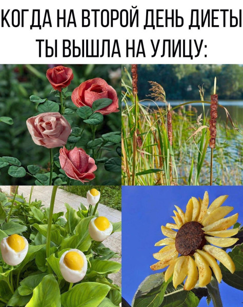 Мем, Антиклептократ