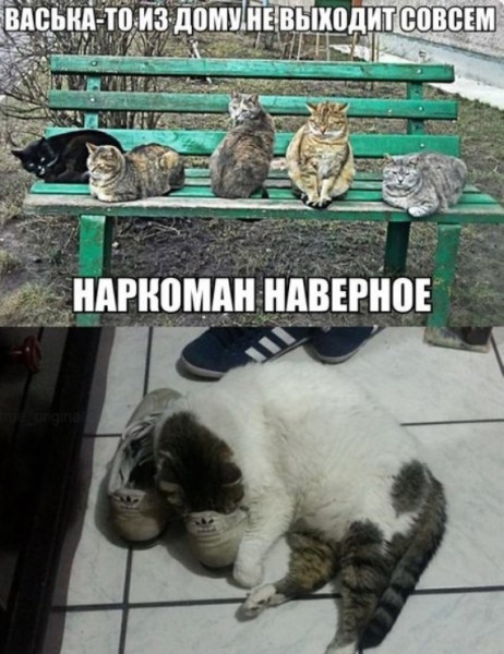 Мем