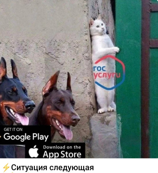 Мем, Ashmedai