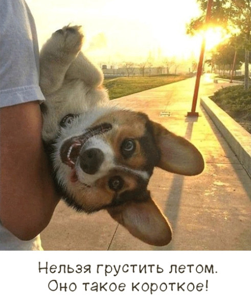 Мем, Александр Скоро Мем, Александр Скоро