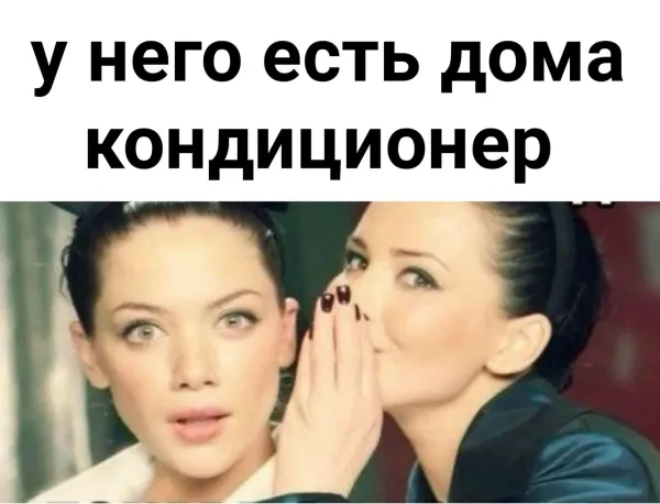 Мем, Антиклептократ Мем, Антиклептократ