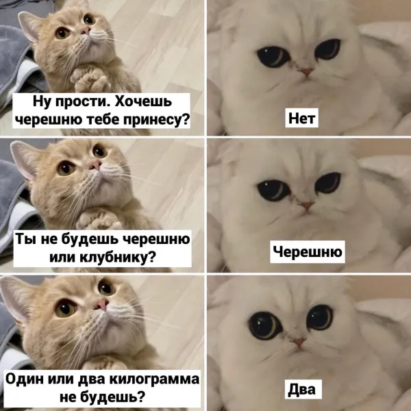 Мем, Антиклептократ Мем, Антиклептократ