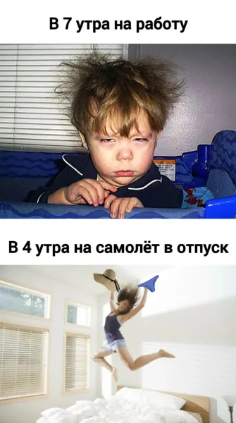 Мем, Антиклептократ Мем, Антиклептократ