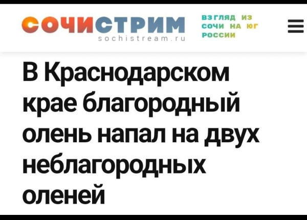 Мем, Ashmedai Мем, Ashmedai