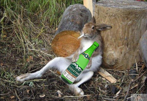 Мем Мем