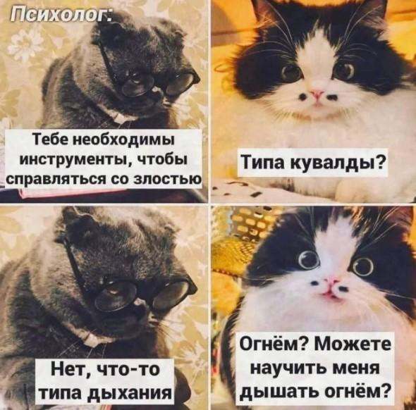 Мем, Bassplayer Мем, Bassplayer