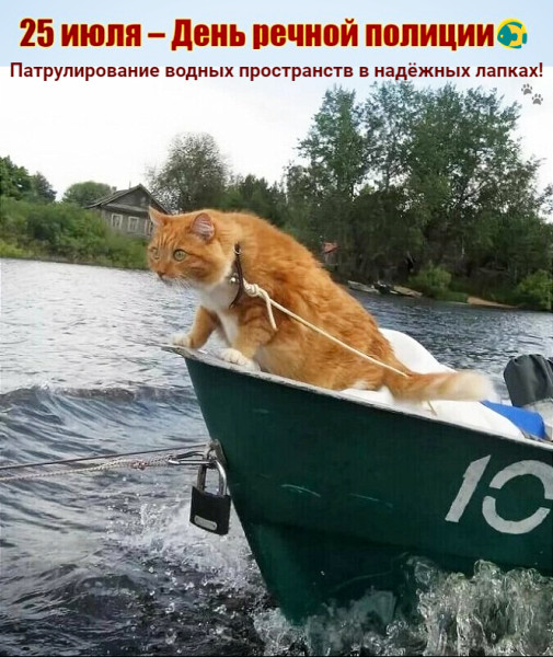 Мем Мем