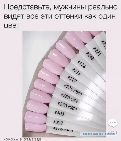 Мем, mikololo Мем, mikololo