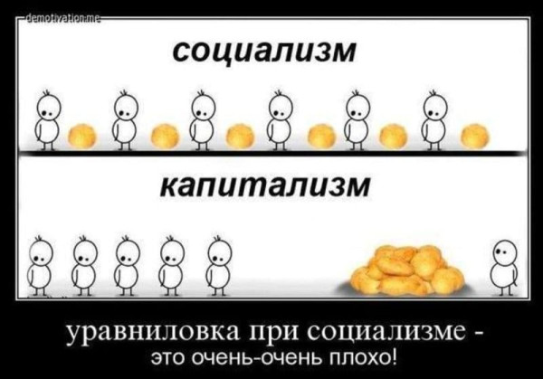 Мем, Diogenes