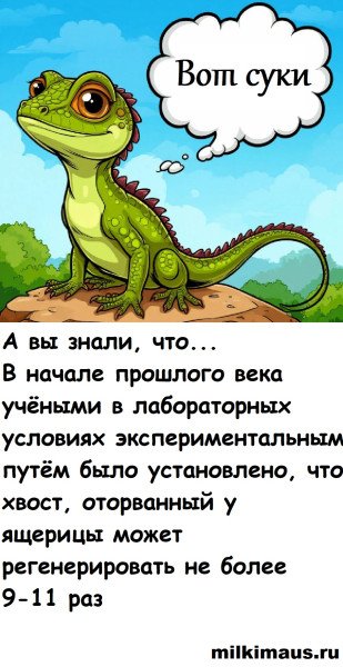 Мем, Лис Интересный Мем, Лис Интересный