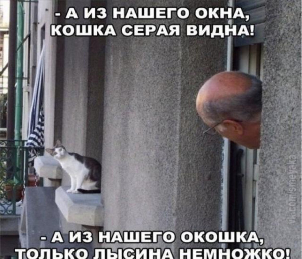 Мем, Bassplayer Мем, Bassplayer