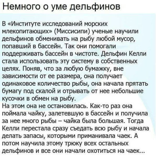 Мем, Mghost Мем, Mghost