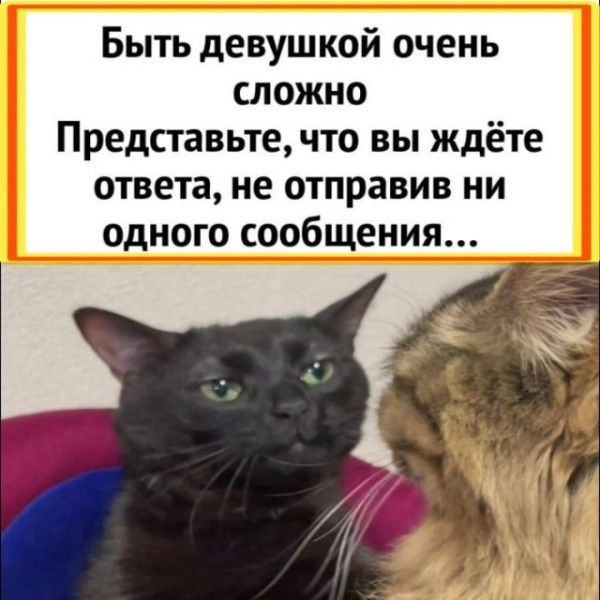 Мем, Юмор без границ Мем, Юмор без границ