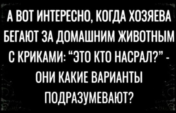 Мем, Ботцман Мем, Ботцман
