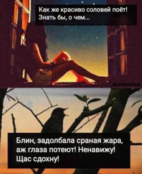 Мем, Антиклептократ