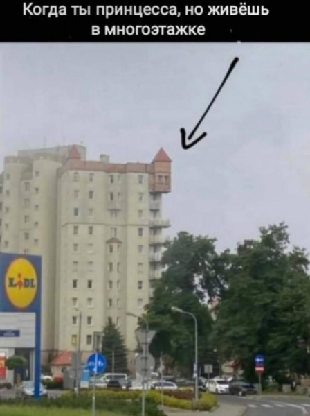 Мем, Антиклептократ Мем, Антиклептократ