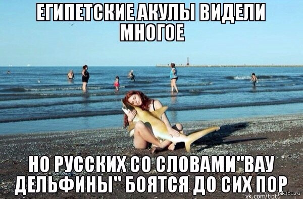Мем: Вау дельфины, RusLan2025 Мем: Вау дельфины, RusLan2025