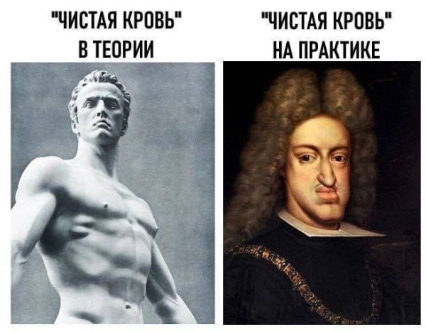 Мем, FDio