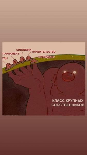 Мем, Diogenes