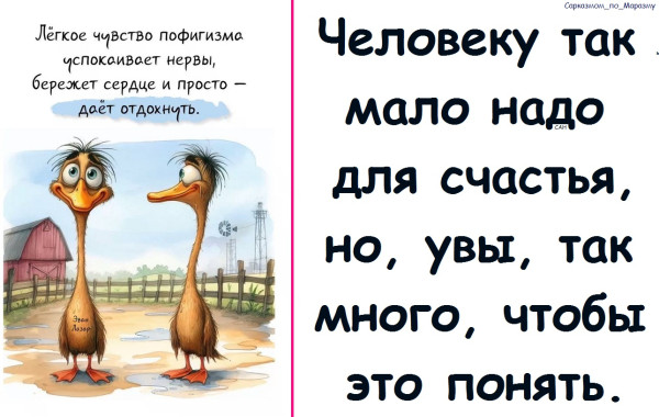 Мем, Александр САН
