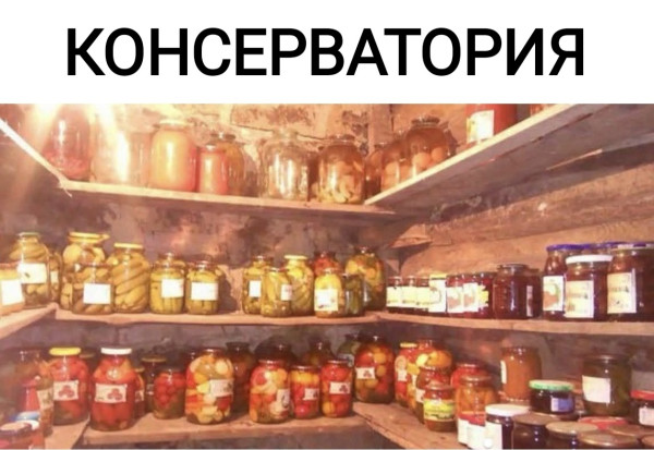 Мем, Рысь