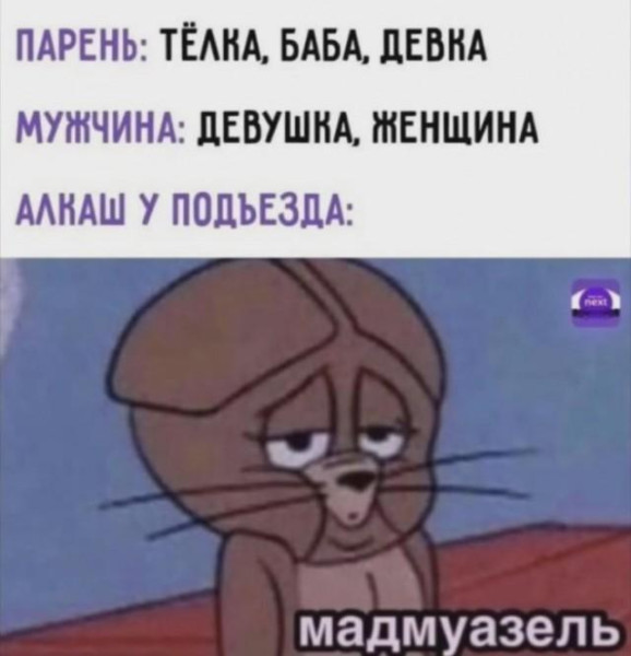 Мем, Антиклептократ Мем, Антиклептократ