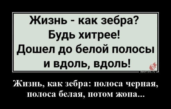 Мем, Антиклептократ Мем, Антиклептократ