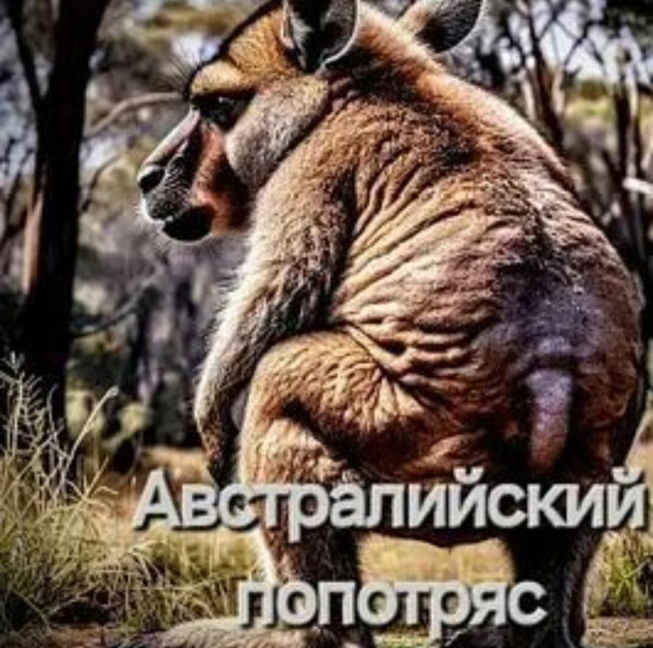 Мем: Австралийский попотряс, Иван30000 Мем: Австралийский попотряс, Иван30000