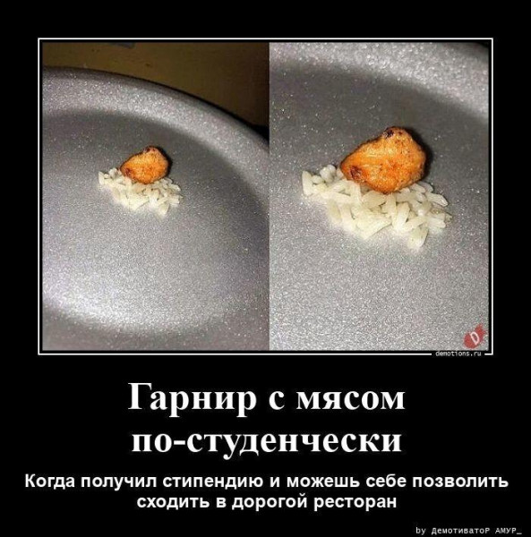 Мем: Мы все учились понемногу. Чему-нибудь и как-нибудь..., Антиклептократ Мем: Мы все учились понемногу. Чему-нибудь и как-нибудь..., Антиклептократ