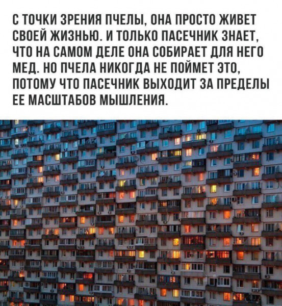 Мем Мем