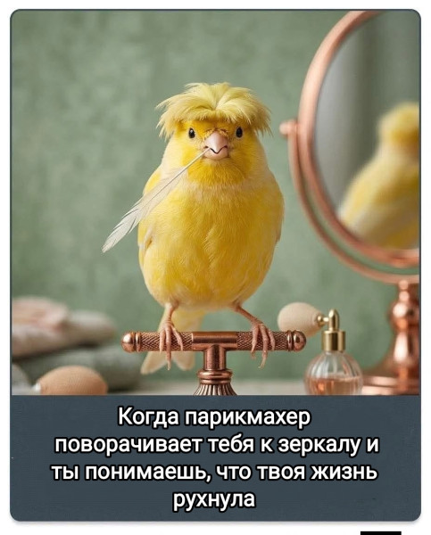 Мем, Рысь Мем, Рысь
