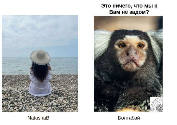 Мем, Болтабай